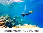 Female scuba diver swimming...