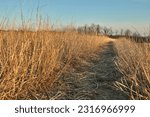 Dirt road path in the countryside field in dry late autumn