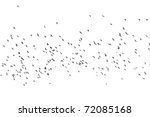 Many Flying Bird Silhouettes