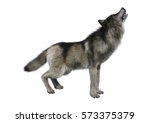 3d Rendering Of A Gray Wolf...