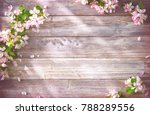 Spring blooming branches on wooden background. Apple blossoms