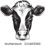 black and white sketch of a... | Shutterstock .eps vector #211603360