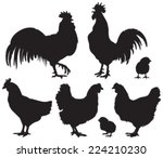 set of detailed quality vector... | Shutterstock .eps vector #224210230