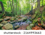 Green forest creek, stream of the Alps mountains. Beautiful water flow, sunny colorful mossy rocks nature landscape. Amazing peaceful and relaxing mountain nature scene, spring summer adventure travel