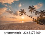 Best most exotic travel landscape. Majestic sunset beach. Coconut palm tree silhouettes, fantastic colorful sky clouds. Closeup waves sand. Stunning tropical nature scene, panoramic island paradise