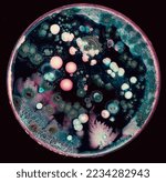 Small photo of colonies of microorganisms on the surface of agar in a Petri dish bacteria and fungi from the surface of a cell phone in a Petri dish