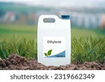 Small photo of Ethylene a naturally occurring plant hormone that regulates ripening, fruit drop, and flower senescence. Agricultural chemistry
