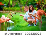 Young Couple Feeding Flamingo...