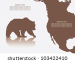 Grizzly Bear Background  ...