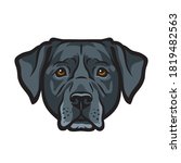 black labrador retriever dog... | Shutterstock .eps vector #1819482563