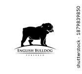 english bulldog   isolated... | Shutterstock .eps vector #1879839850