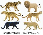 big cats bundle set collection | Shutterstock .eps vector #1601967673