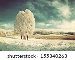 Vintage Winter Landscape With...