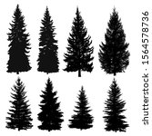 set of silhouettes of pine... | Shutterstock .eps vector #1564578736