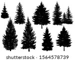 set of silhouettes of pine... | Shutterstock .eps vector #1564578739