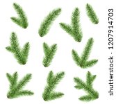 fir tree branch isolated | Shutterstock . vector #1207914703