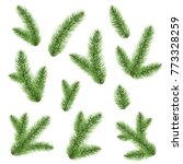  green fir tree branch  vector... | Shutterstock .eps vector #773328259