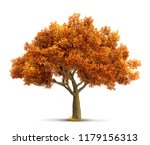 Autumn maple tree isolated