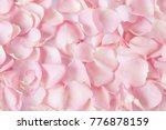 Roses Petals Background 