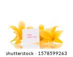 summer blooming flowers of... | Shutterstock . vector #1578599263