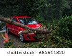 Car Under Fallen Tree.
