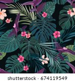 seamless botanical exotic... | Shutterstock . vector #674119549