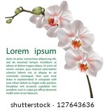 White Orchid Design Template