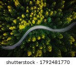 Winding Curvy Road Trough Forest. Aerial Drone Top Down View. Wilderness Landscape.