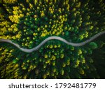Curvy Road in Summer Pine Forest. top Down Drone Photography. Outdoor Wilderness.