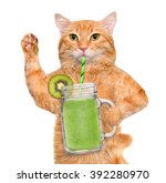 Cat Holding Smoothie In A Jar...