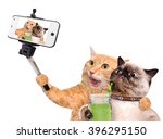 Cats Taking A Selfie With A...