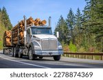 Small photo of Industrial powerful bonnet big rig classic white semi truck tractor with day cab transporting tree logs on two semi trailer running on the narrow mountain road with forest in Columbia Gorge area