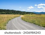 Small photo of Landscape with a gorgeous winding dirt road strewed with fine gravel passing through a meadow and tucking into a hill overgrown with forest with green summer trees in Columbia River Gorge
