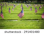 Flag On The Graves Of Soldiers...