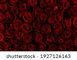 Natural Red Roses Background....