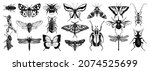 Hand Sketched Insects...