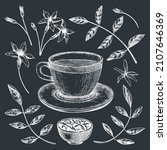hand sketched jasmine tea in a... | Shutterstock .eps vector #2107646369