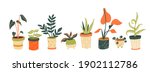 houseplant collection.... | Shutterstock .eps vector #1902112786