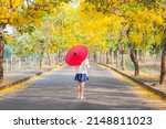 Small photo of Women standing with red umbrella on the road and Golden shower flowers or Cassia fistula flowers blooming at springtime