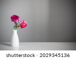 Two Roses In  Vase On Gray...