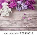The Beautiful Lilac On A Wooden ...