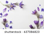 Spring Violet Flowers On A...