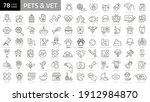 outline web icon set   pet  vet ... | Shutterstock .eps vector #1912984870