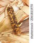 Decorative Indian Corn With...