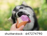 Dog Eats Ice Cream In A Waffle...