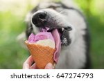 Dog Eats Ice Cream In A Waffle...