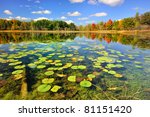 "autumn Calm"  Brockway Lake ...