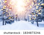 Winter fir tree christmas scene with sunlight. Fir branches covered with snow. Christmas winter blurred background with garland lights, holiday festive background. 