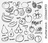 group of fresh fruit doodle... | Shutterstock .eps vector #233666953