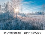 November dreamy frosty morning. Beautiful autumn misty cold sunrise landscape in blue tones. Fog and hoary frost on a scenic high grass copse.